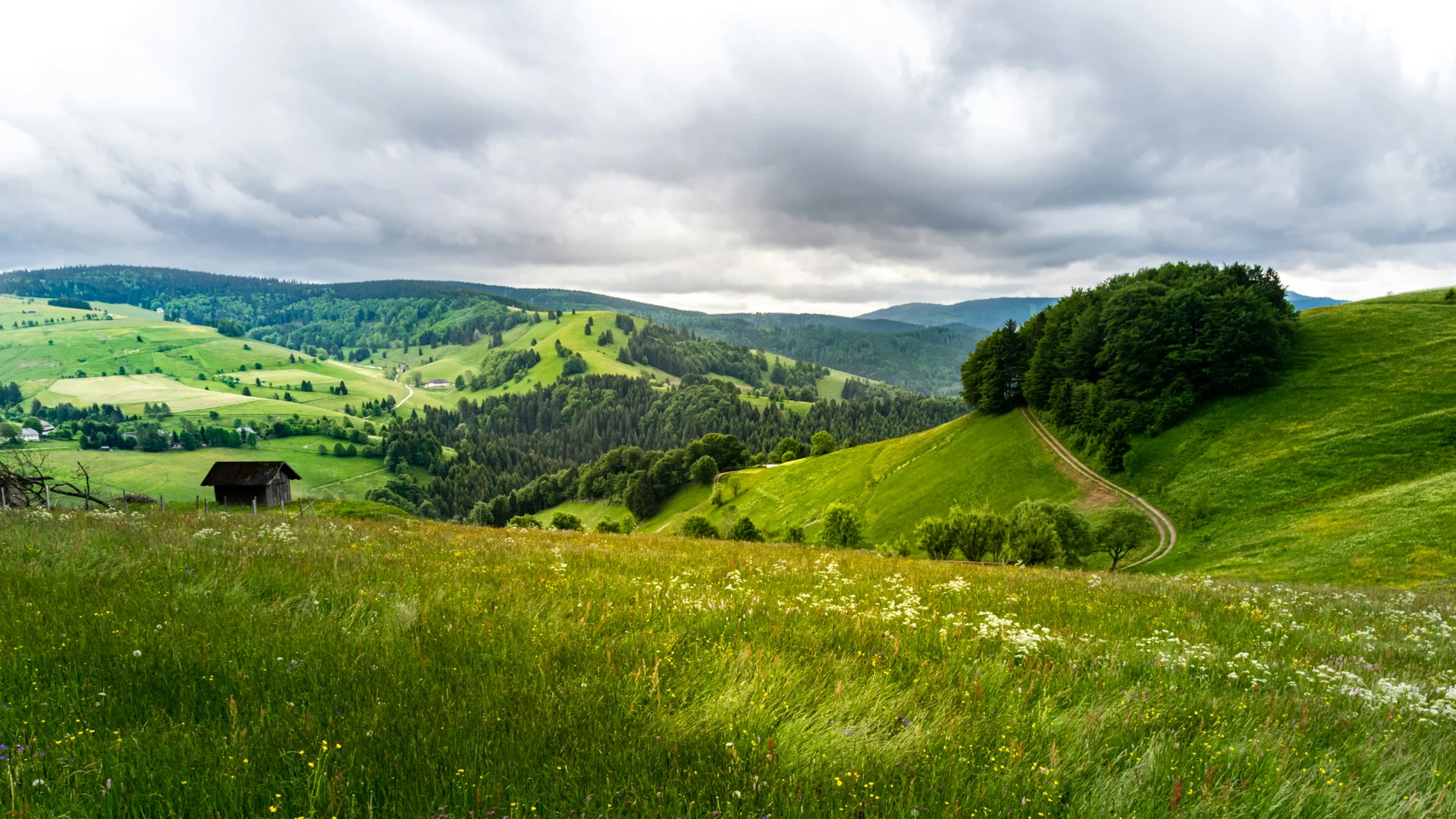 Das 4-Sterne-Hotel Bercher