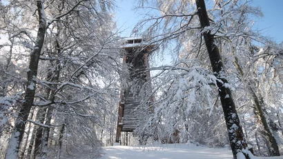 Holztaumturm im verschneiten Winterwald bei klarem Himmel