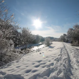 Verschneiter Weg neben Fluss im Wald bei Sonnenschein